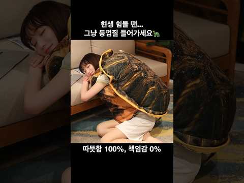 봉제 거북이 등껍질 큐션 베개 조끼