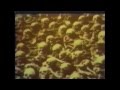 Hero-she-ma (Squarepusher, "Rebus")