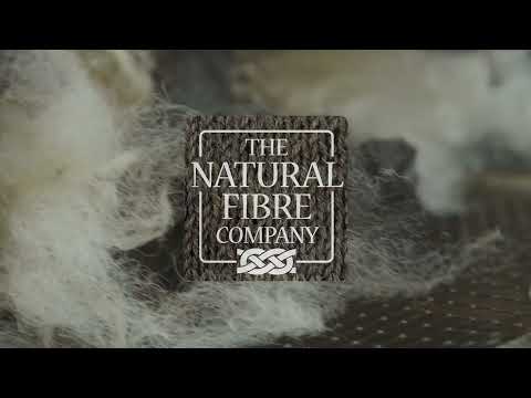 Our Work and Capabilities