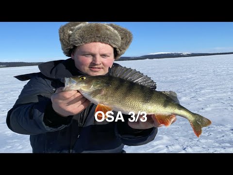 AHVENEN PILKINTÄ - JIGI VS TASURI // EEPPINEN PILKKIREISSU RUOTSIN LAPPIIN 3/3