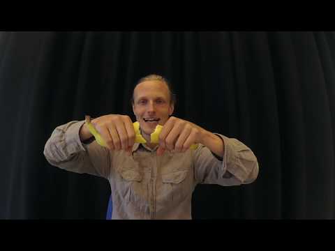 How to Heal a Broken Banana - Backward Picnic