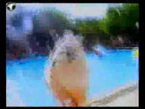 outhere brothers ole ole