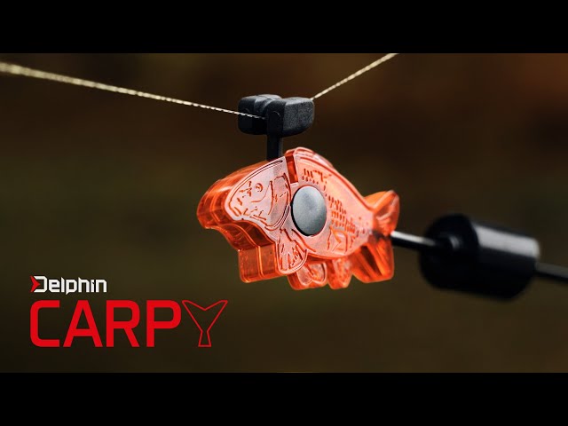 carpy