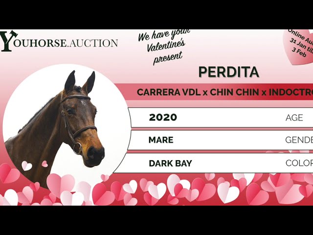 Perdita homevideo