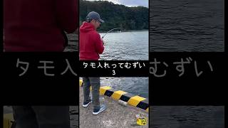 【伊豆大島釣り】大きい魚のタモ入れってむずい③#short