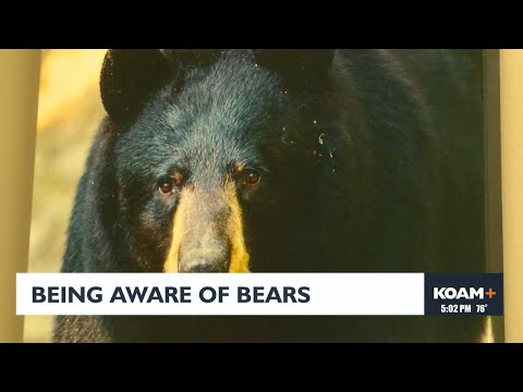 Being aware of bears - YouTube