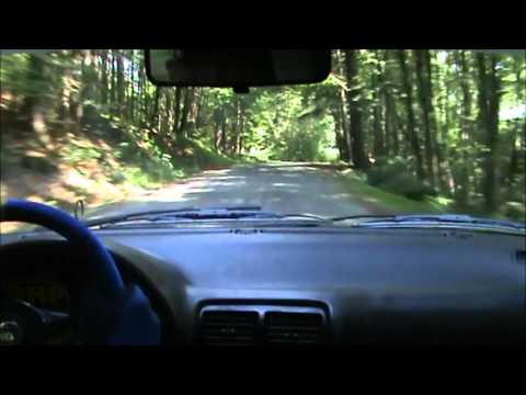 Rally crash on board