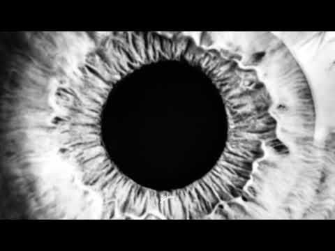 Magnificence - Remember