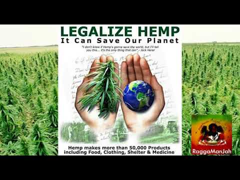 Raggamanjah - ALL  THE GOODNESS OF LIFE