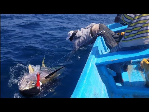 Yellowfin Tuna Fish Catching Skills In Indian Ocean Handline Fish Amazing Fishing Video ( PART 1 )