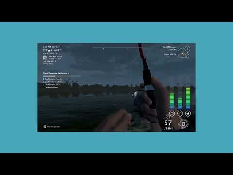 European Eel At Ghent Terneuzen