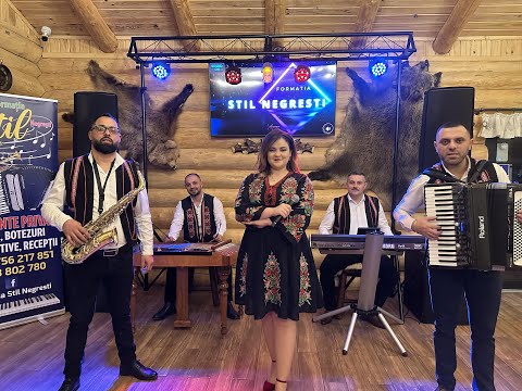 Formația Stil (Negrești) - Horă -  A Început Petrecerea ( cover Nina Venus)