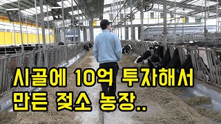 매일 젖소 100마리의 젖을 짜야하는 30대 청년..매일 3200kg의 우유를 만들어 낸다고 하네요...ㄷㄷ