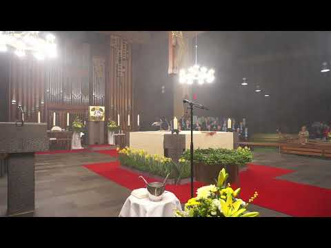 LIVE: Osternacht 20 Uhr aus St. Peter & Paul, Garrel