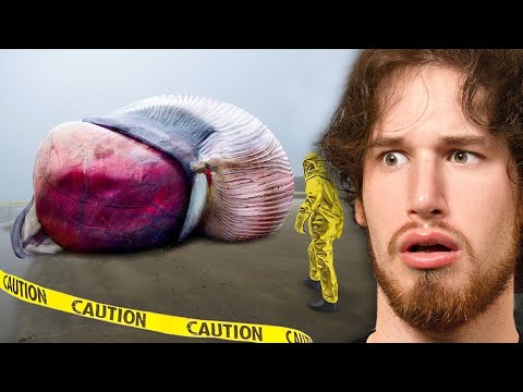 Craziest Things FOUND in NATURE!