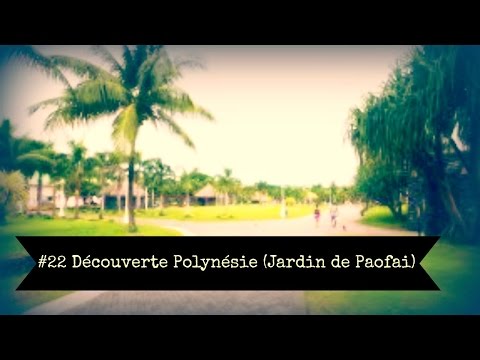 #22 Je me balade dans les jardins de Paofai à Papeete