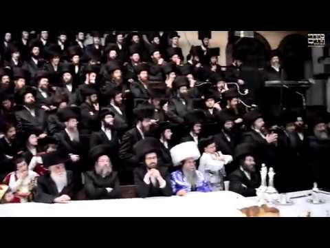 Purim 5777 With Dorog Rebbe