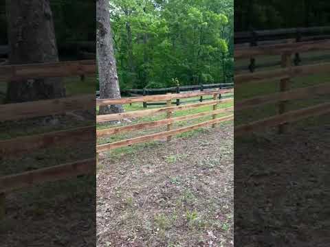 Salazar A Landscaper project video