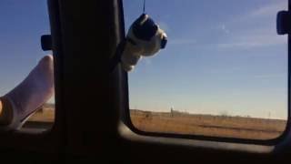 All Or Nothing - The Maddigans