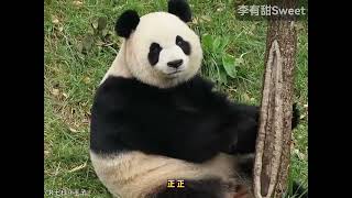 kid fuuny,songs for kids,for kids,baby songsOkolele,oko lele,Oko and Lele,oko lele officail,Oko 7