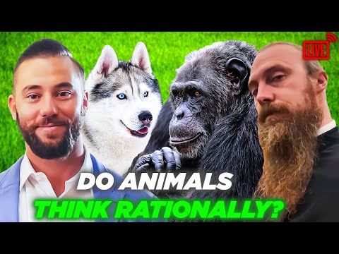 Are Animals Rational? Philosophy of Rationality with Fr. Dcn Dr. Ananias @PatristicFaith