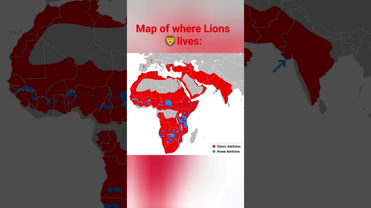 habitat of lions past and present #map #interestingfacts #short #lion