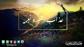 صورة عذاب القبر  ونعيمه- الشيخ أحمد بن محمد الصقعوب