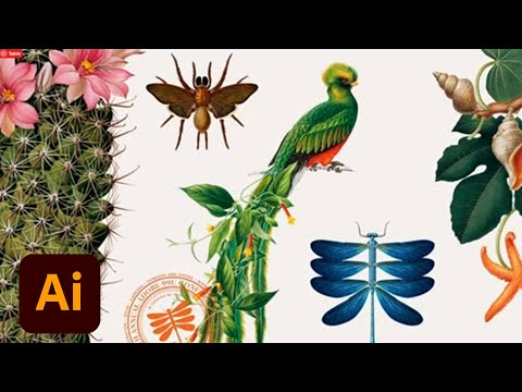 Illustrator Daily Creative Challenge - Illustrated Dish | Adobe Creative Cloud