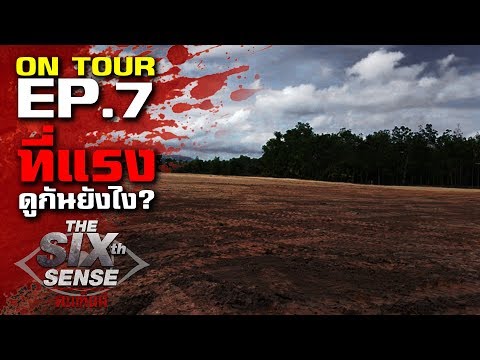 วิธีการเพิ่มสมาชิก รักษาความอ่อนแอตามใบสั่งแพทย์เวนกา