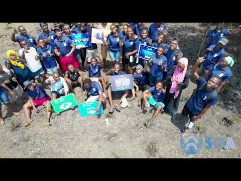 Restoring Bagamoyo's mangroves and seagrass meadows