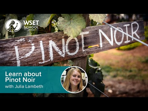 Learn about Pinot Noir with Julia Lambeth DipWSET