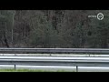 GLD Nieuws 11 maart 2020