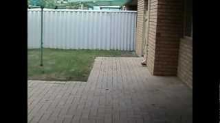 preview picture of video 'Houses to Rent in Bunbury Australind Home 3BR/1BA by Bunbury Property Management'