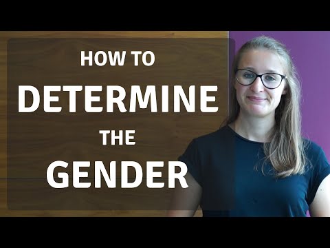 How to Determine Grammatical Gender in Czech (Czech Gender: Episode 2 of 3)