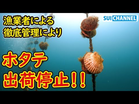 貝類養殖 - 定義