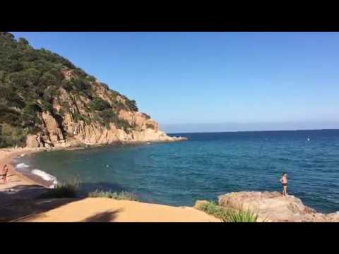 Desconocida y con poca gente: así es la cala a una hora y media de Barcelona donde van los amantes del snorkel y la tranquilidad | Cataluña