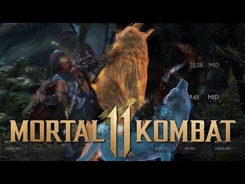 Nightwolf Combo Guide 【Mortal Kombat 11】