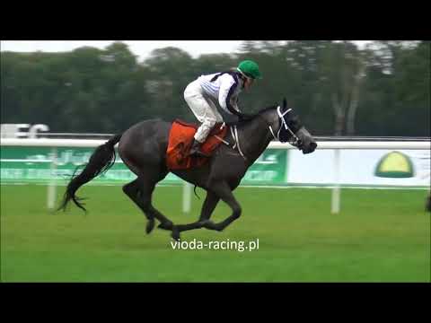 Gon. IV (N. Białki) - 20.08.2017 - Fazza Al Khalediah (Jalnar Al Khalidiah - Assma Al