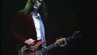 John Cipollina / Nick Gravenites Band   Unviciouscircle