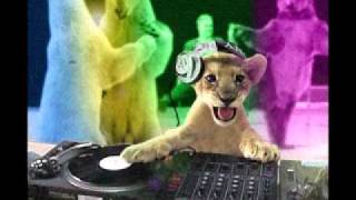 Ebauche New Mix Funk  By DavidDjDs