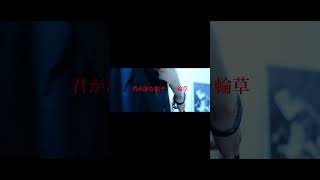 【#盗作】【#ヨルシカ】【#shorts】【#永久機関】  #盗作 #ヨルシカ  プロフよりYouTube fullへ飛べます！ #初音ミク #anime  #hatsunemiku