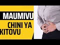 MAUMIVU CHINI YA KITOVU JE! NINI CHANZO CHA TATIZO?(Dr.Richard Kavishe)