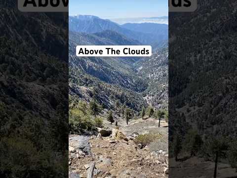 Peace On The Pacific Crest Trail