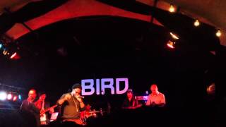 Dwele sho ya right at Bird Rotterdam