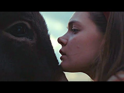 EO – Trailer español