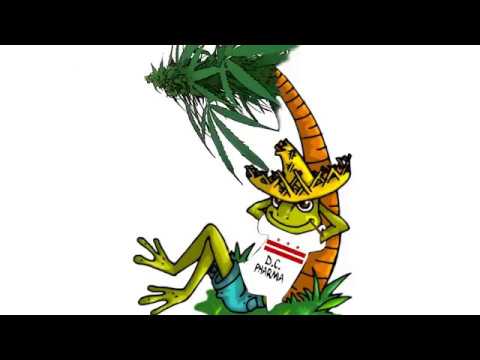 The Grow Lounge #14 - Clone Giveaway