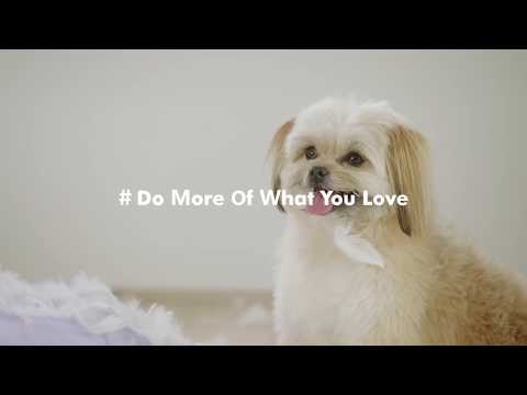 ECOVACS präsentiert "Ein tierisches Vergnügen." feat. DEEBOT OZMO 930