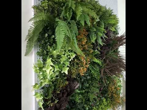 Mur artificiel Life lot vidéo présentation brise-vue dense décor végétal