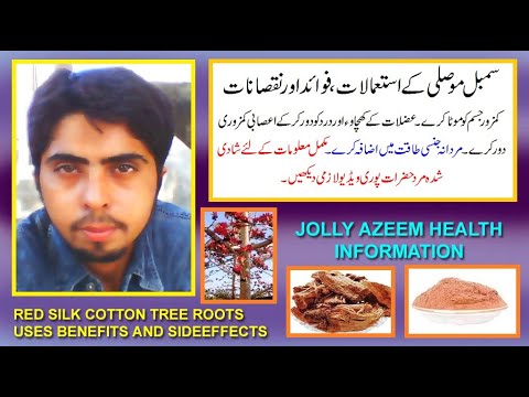 sumbal moosli kay fayday aor nuqsan | red cotton silk tree roots uses benefits and sideeffects |
