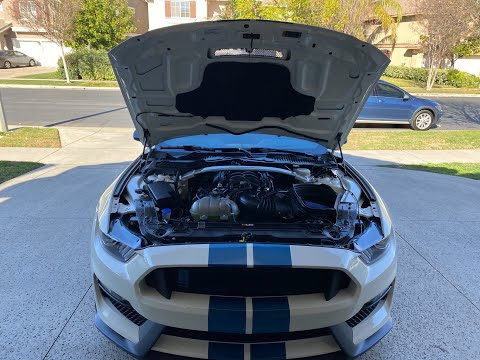 2020 GT350 Differential Oil Change... WOW!